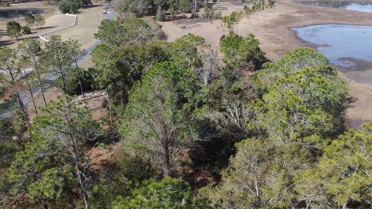 Details for Bonsmara Drive, LEESBURG, FL 34748