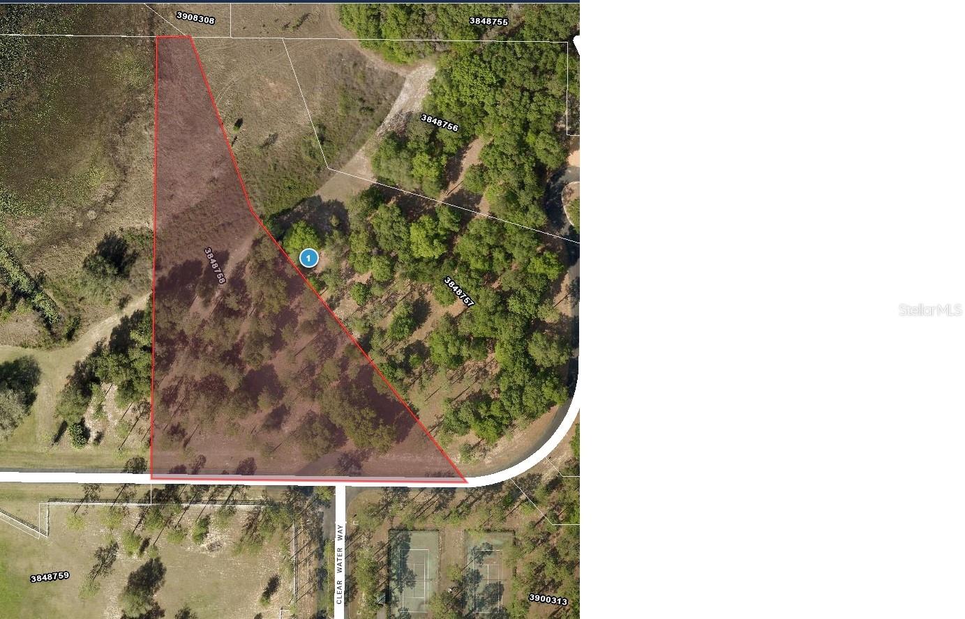 Image 3 of 11 For Bonsmara Drive