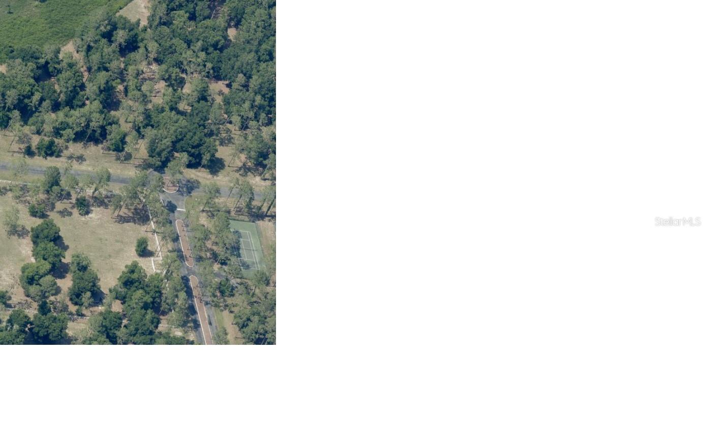 Image 4 of 11 For Bonsmara Drive