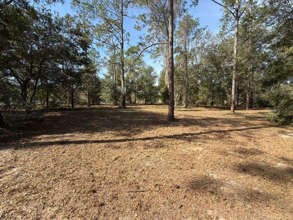 Image 5 of 11 For Bonsmara Drive