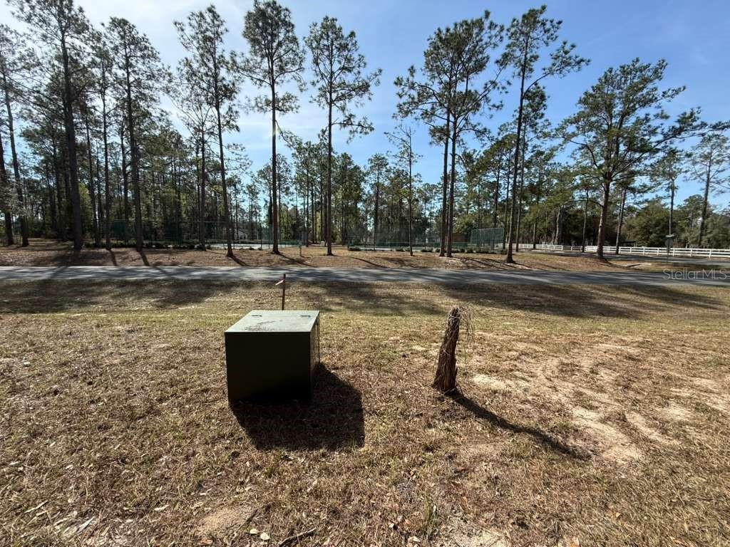 Image 6 of 11 For Bonsmara Drive