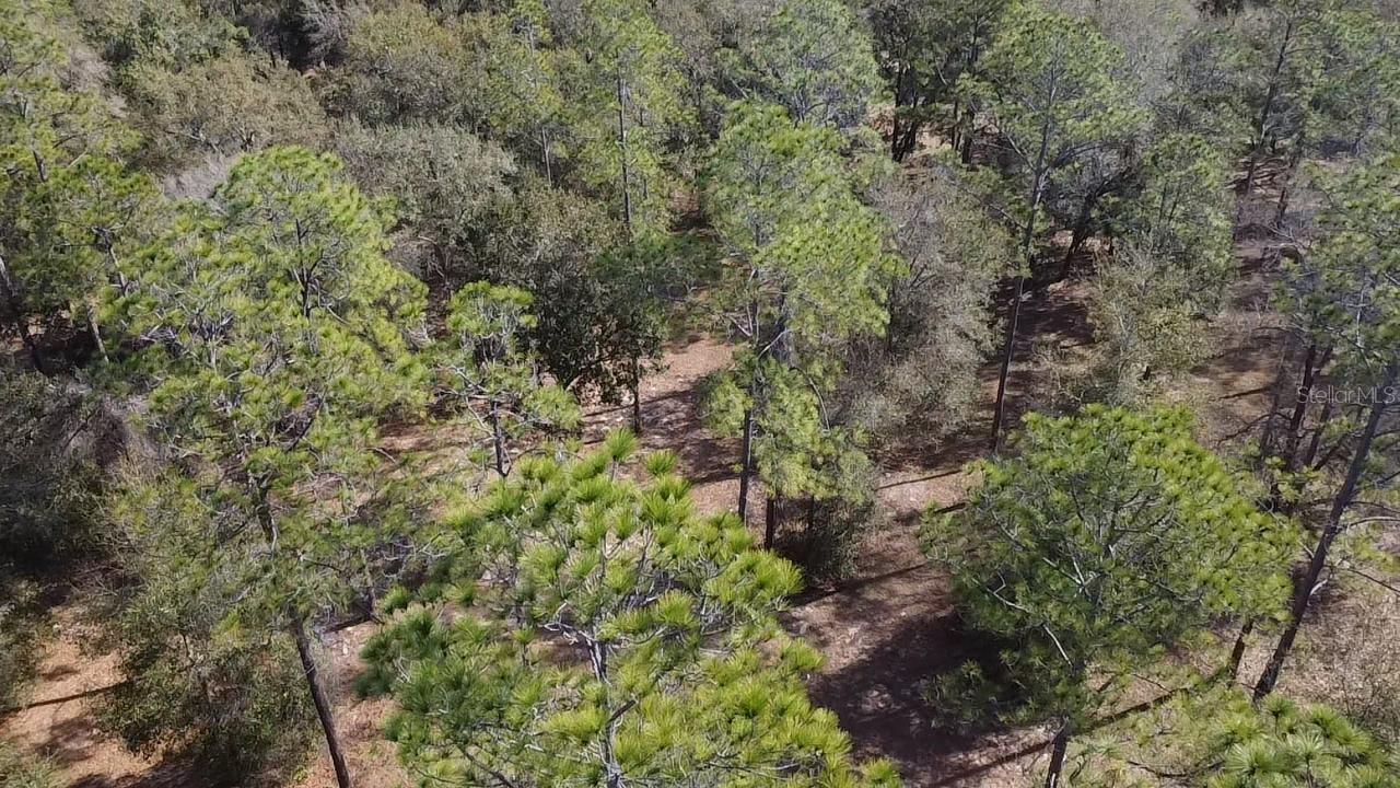 Image 9 of 11 For Bonsmara Drive