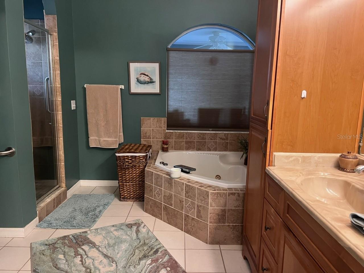 Image 7 of 21 For 869 Sylvia Drive