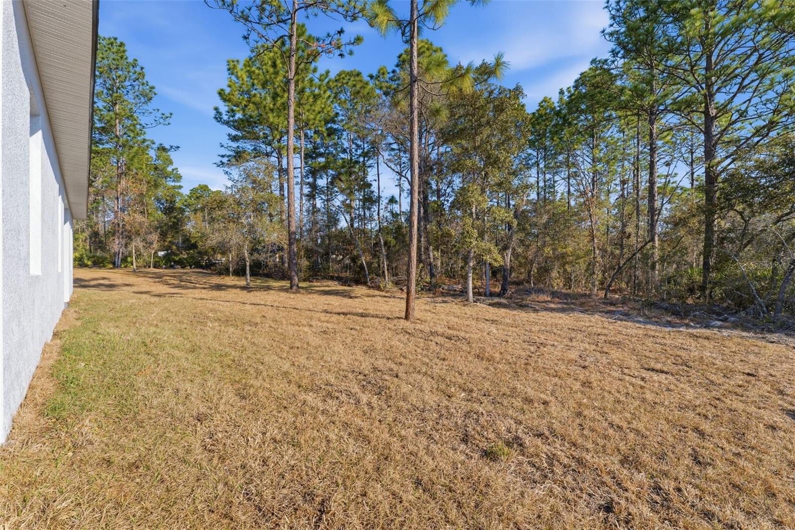 Image 32 of 35 For 8041 Pickinz Way