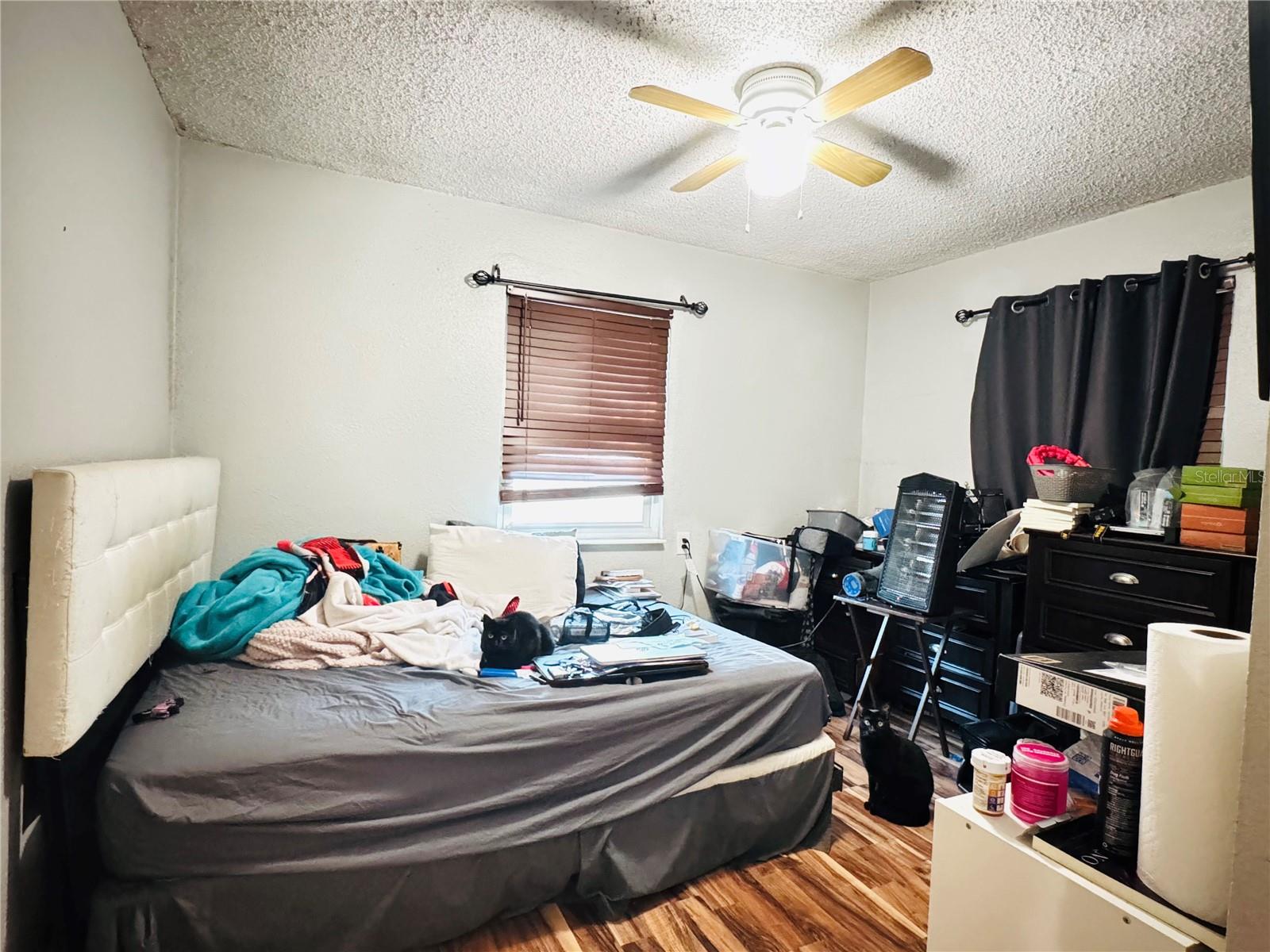 Image 7 of 18 For 2506 Waver Street