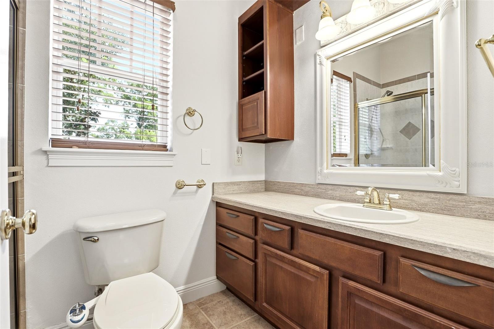 Image 23 of 41 For 289 Garden Street