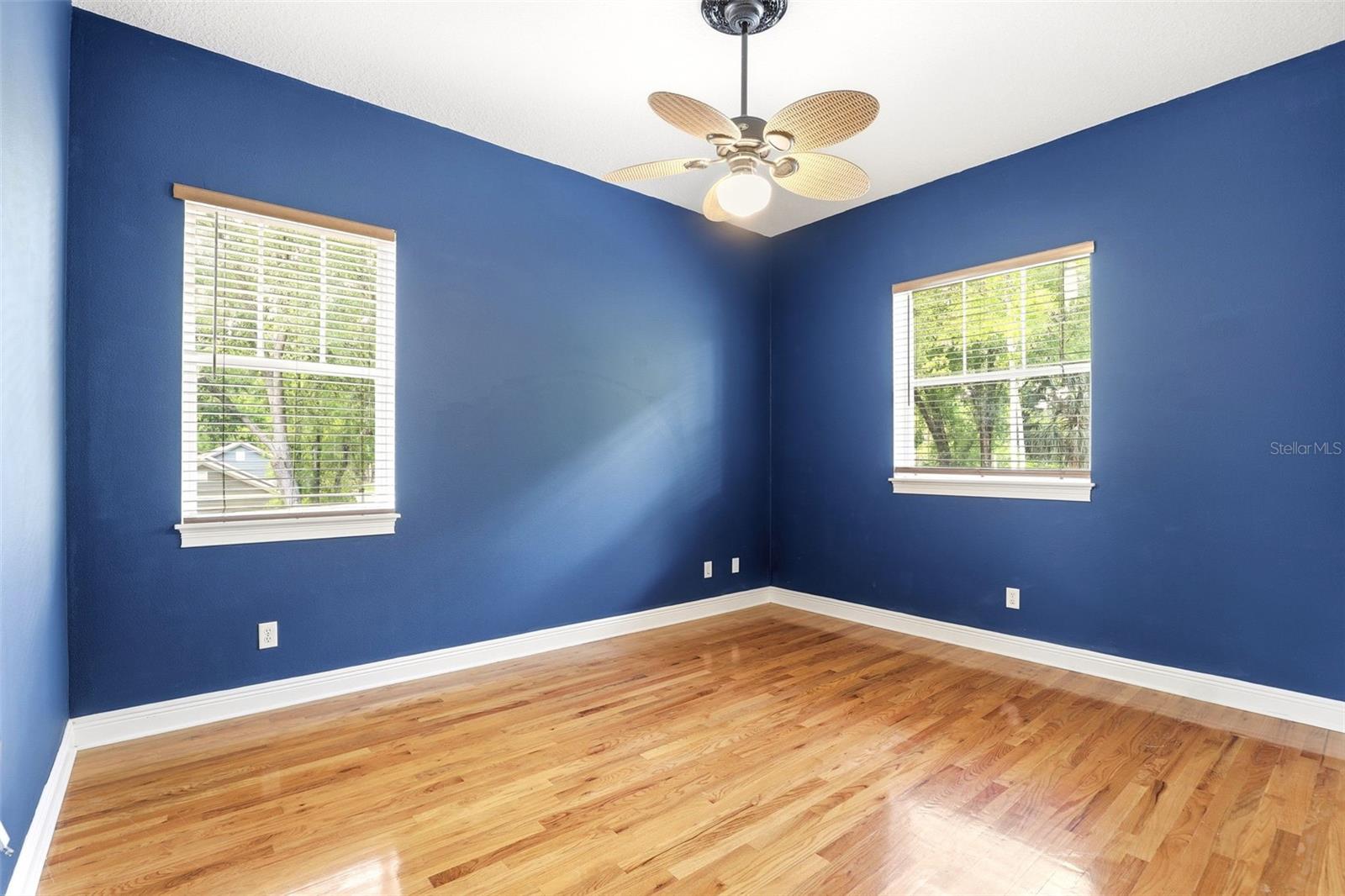 Image 29 of 41 For 289 Garden Street