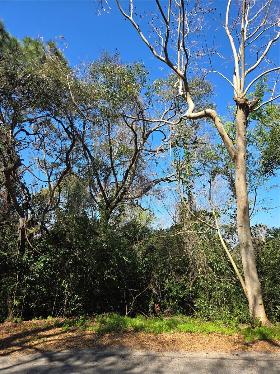 Image 10 of 35 For 000 Magnolia Creek Lane