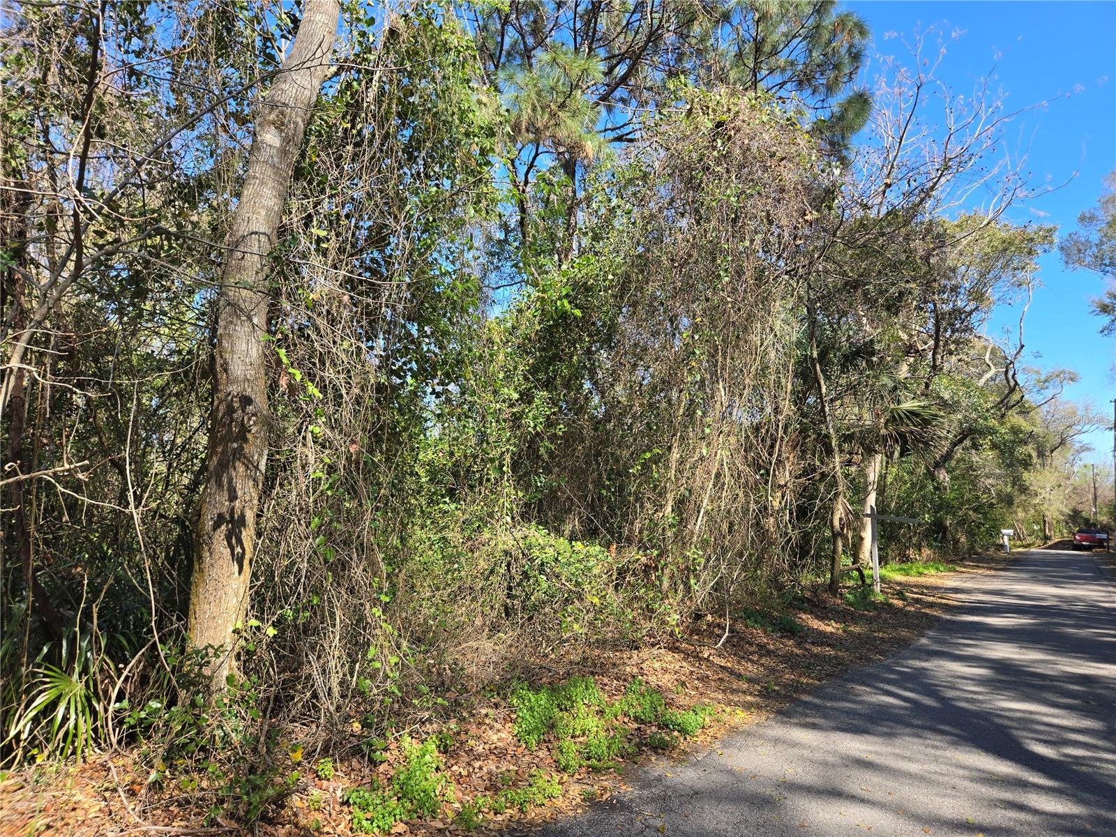 Image 6 of 35 For 000 Magnolia Creek Lane