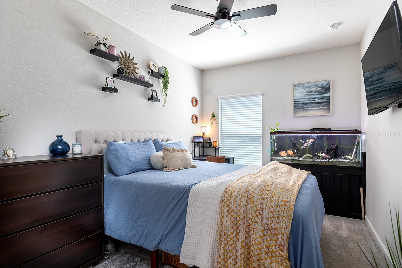 Image 8 of 22 For 170 Cape Honeysuckle Place