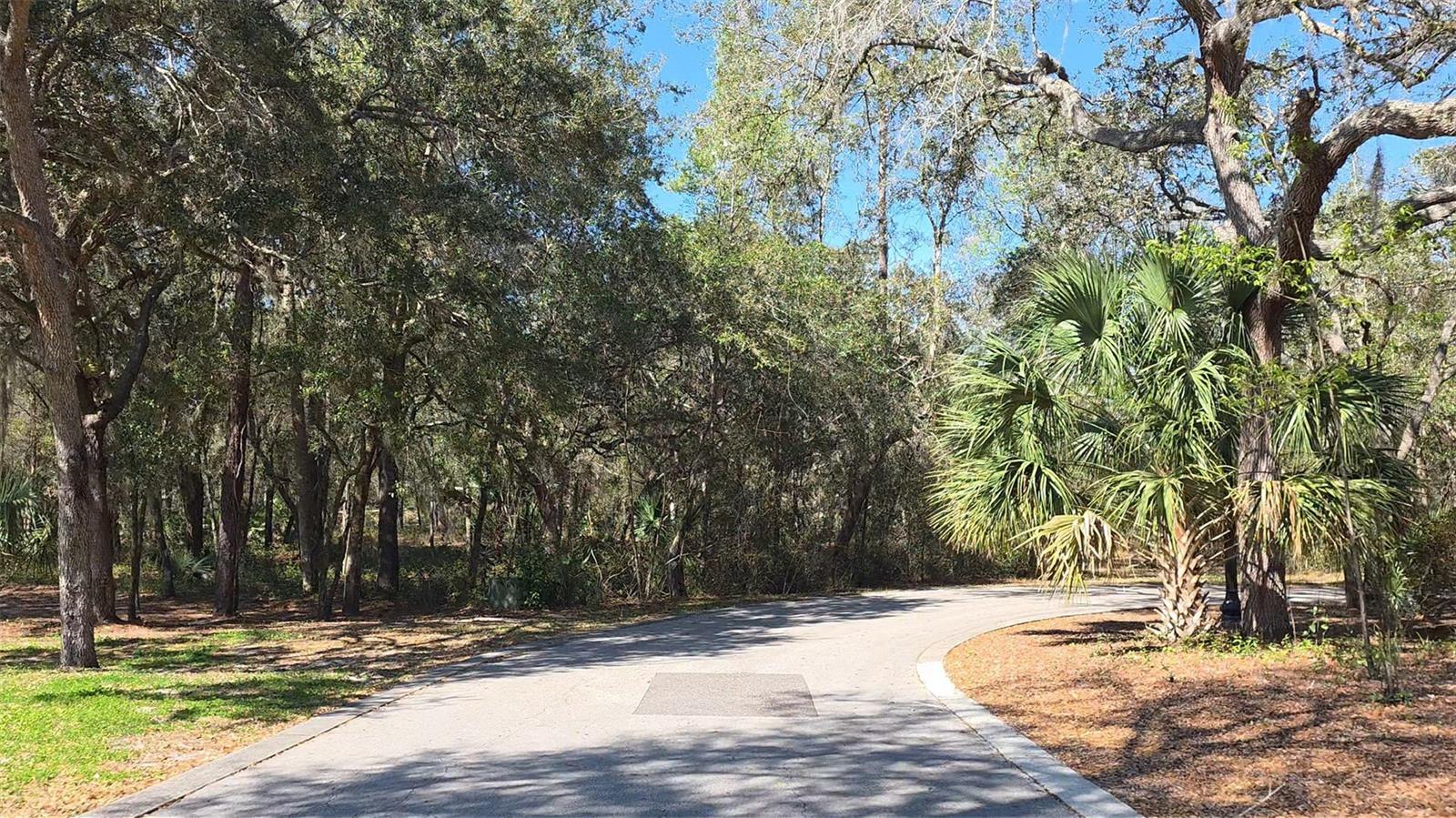 Image 3 of 13 For Lincoln Road