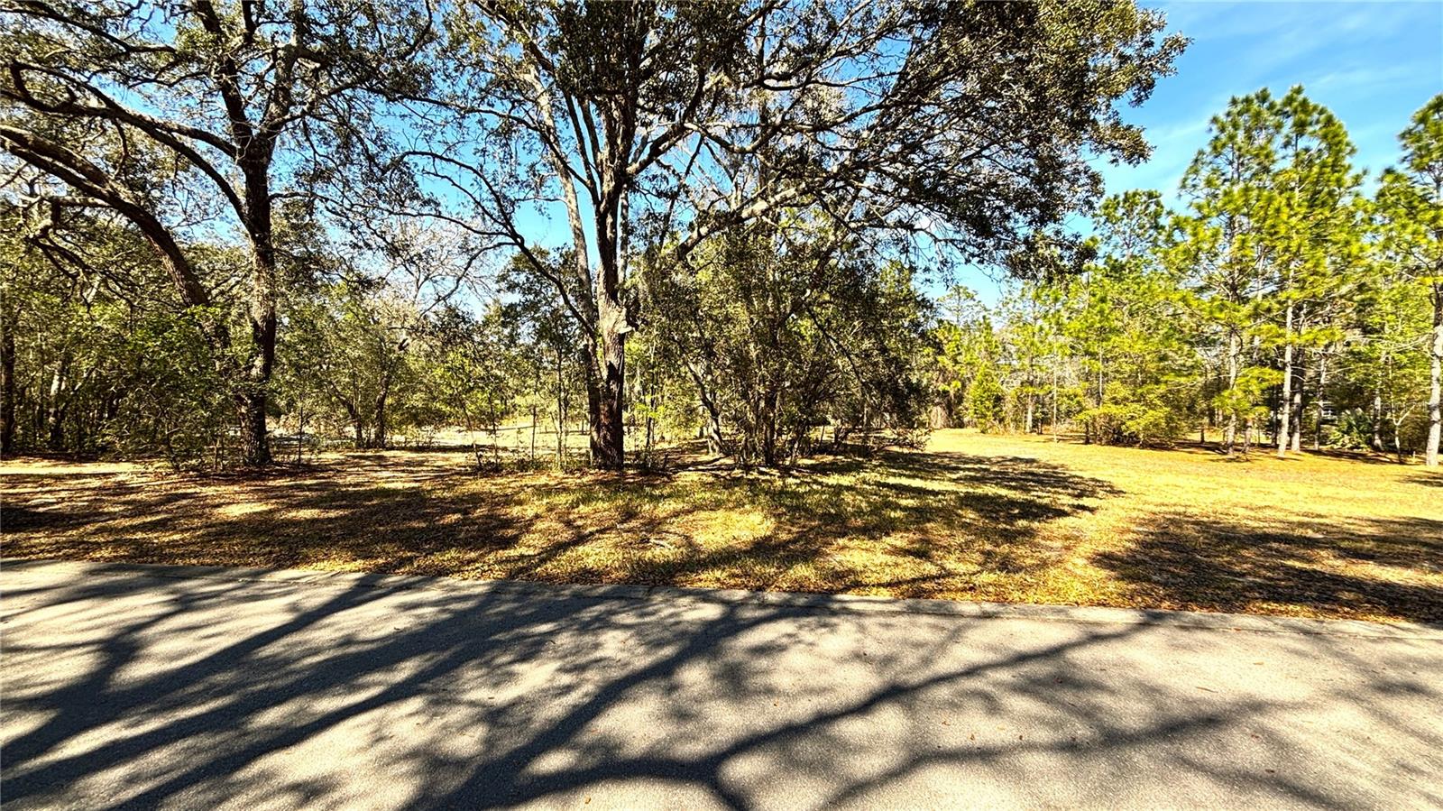 Image 5 of 13 For Lincoln Road