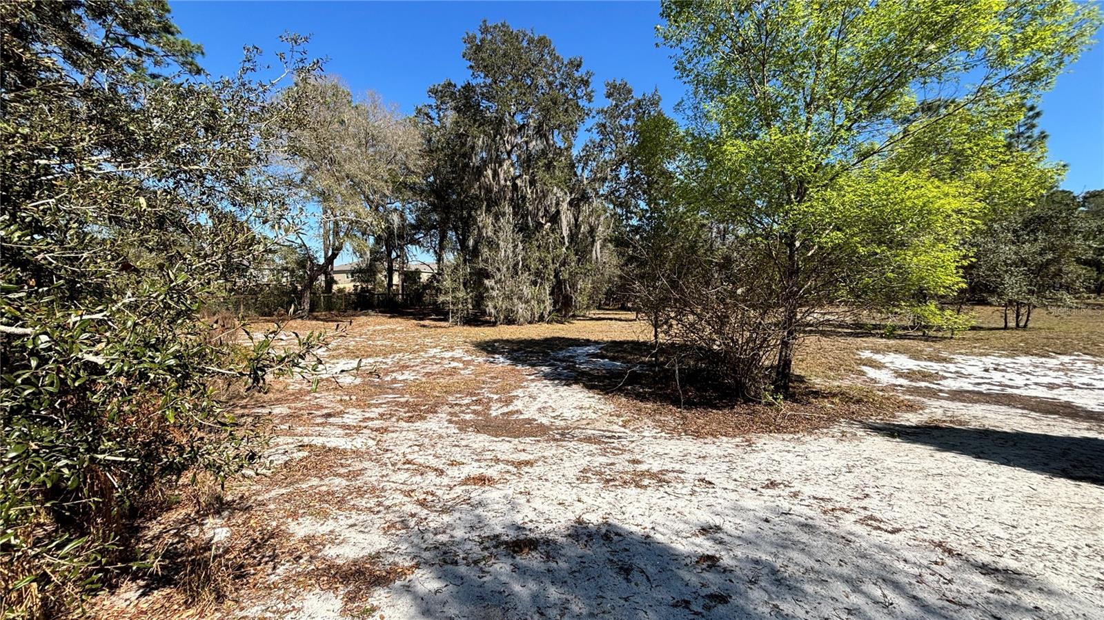 Image 6 of 13 For Lincoln Road