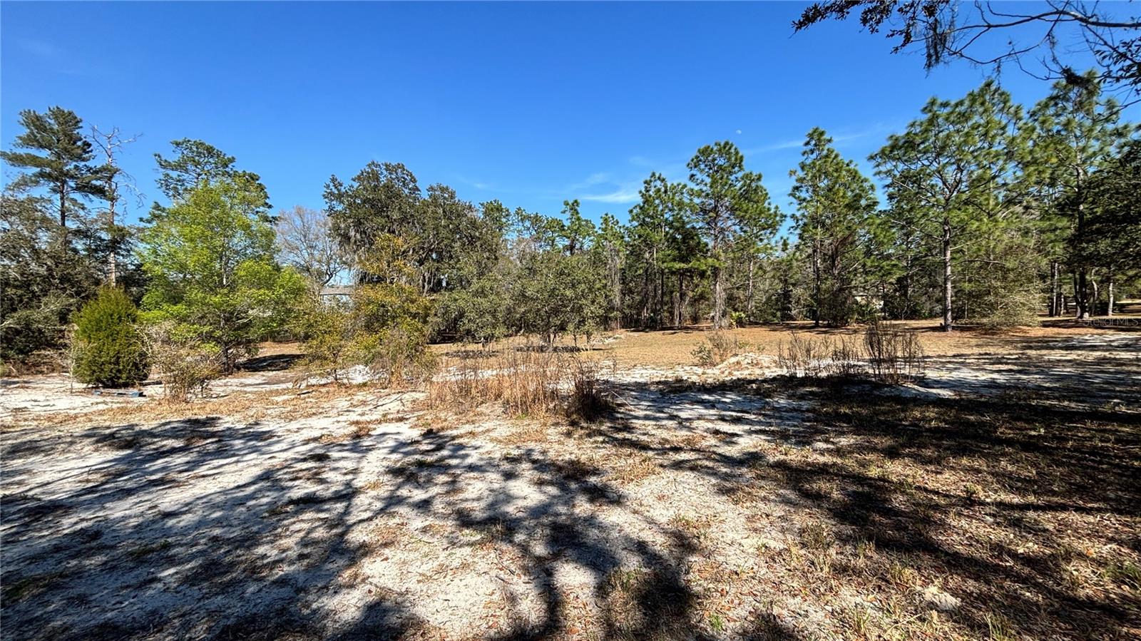 Image 7 of 13 For Lincoln Road