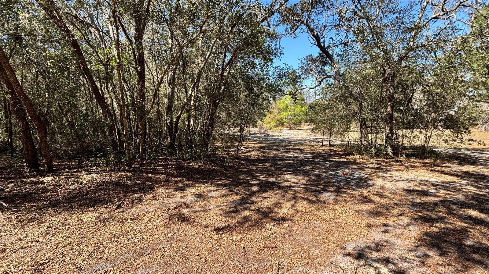 Image 8 of 13 For Lincoln Road