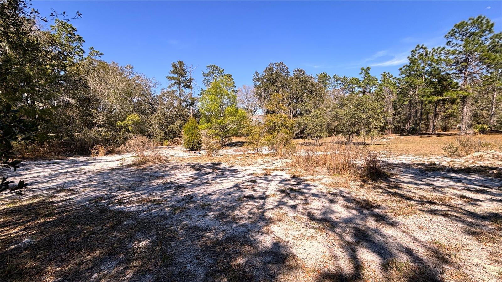 Image 9 of 13 For Lincoln Road