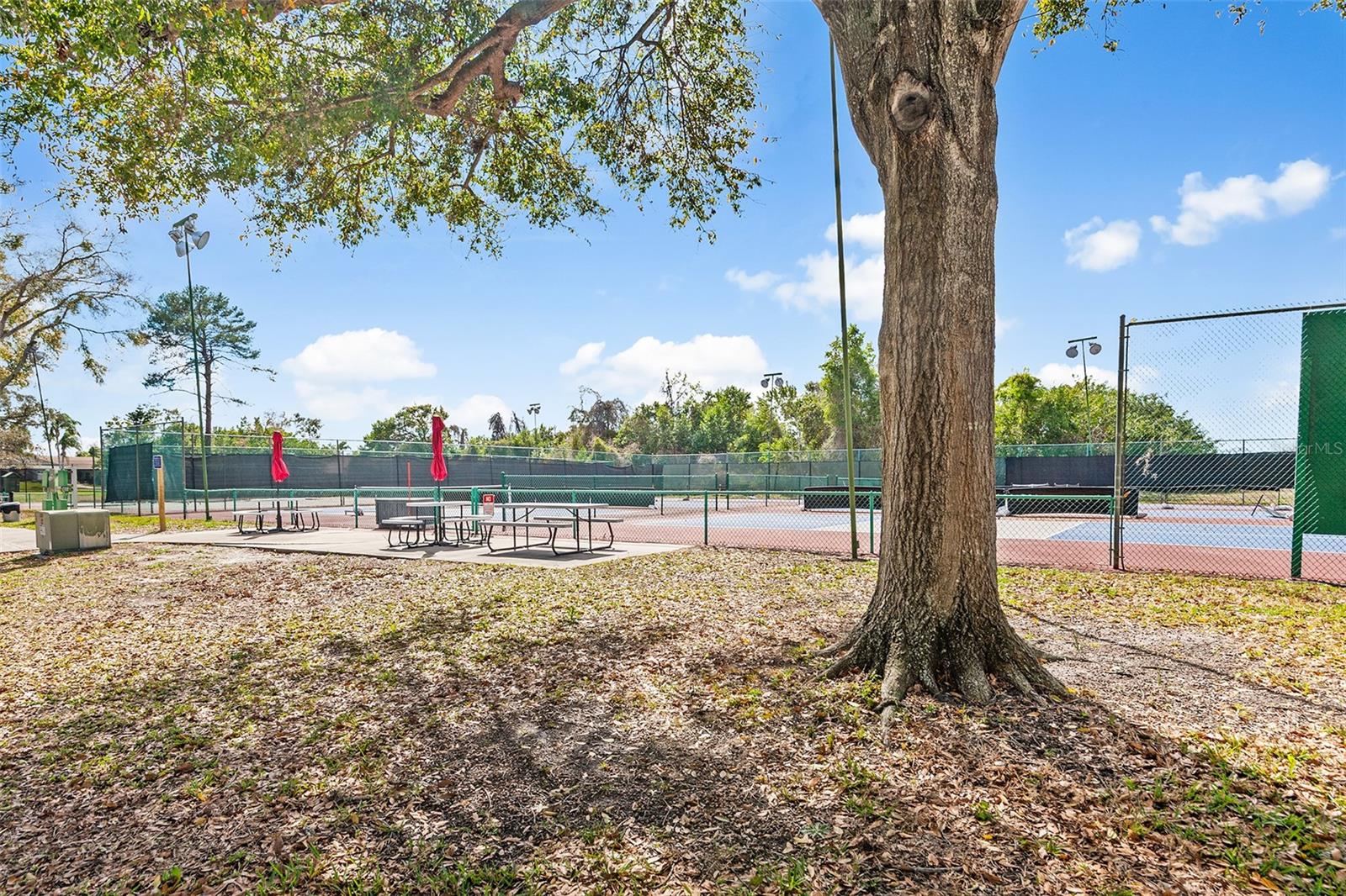 Image 24 of 28 For 8353 Pavilion Drive