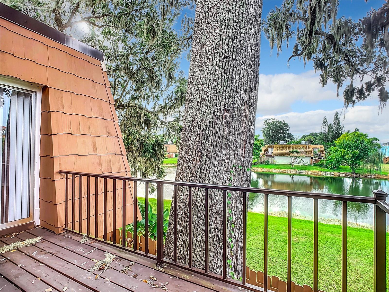 Image 38 of 49 For 164 Sweetgum Lane