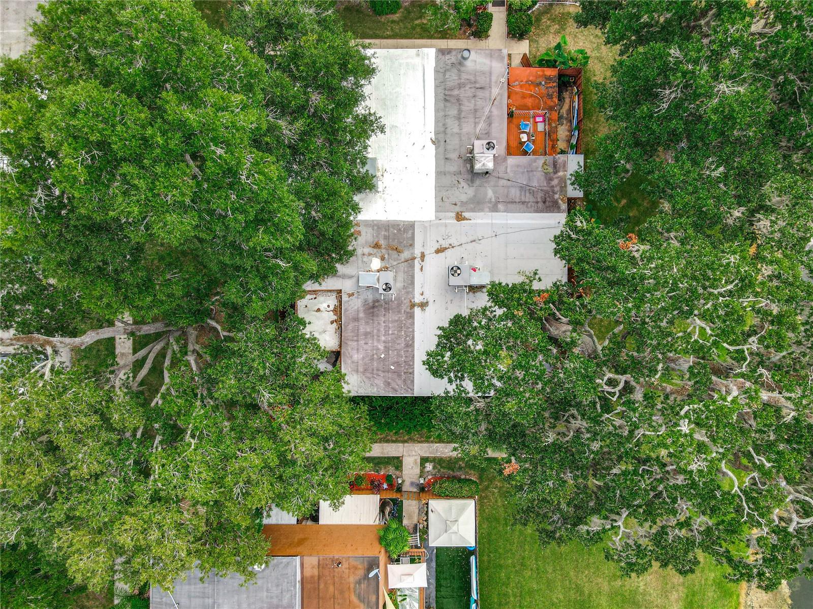 Image 47 of 49 For 164 Sweetgum Lane