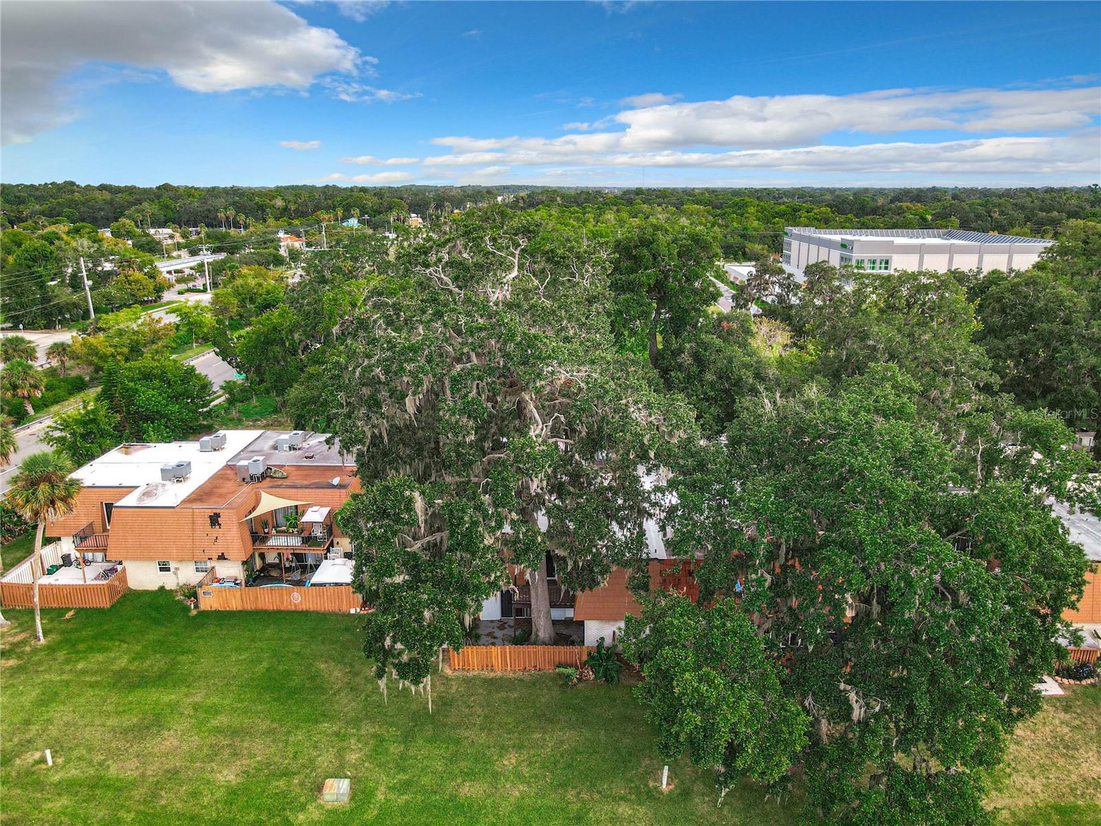 Image 48 of 49 For 164 Sweetgum Lane