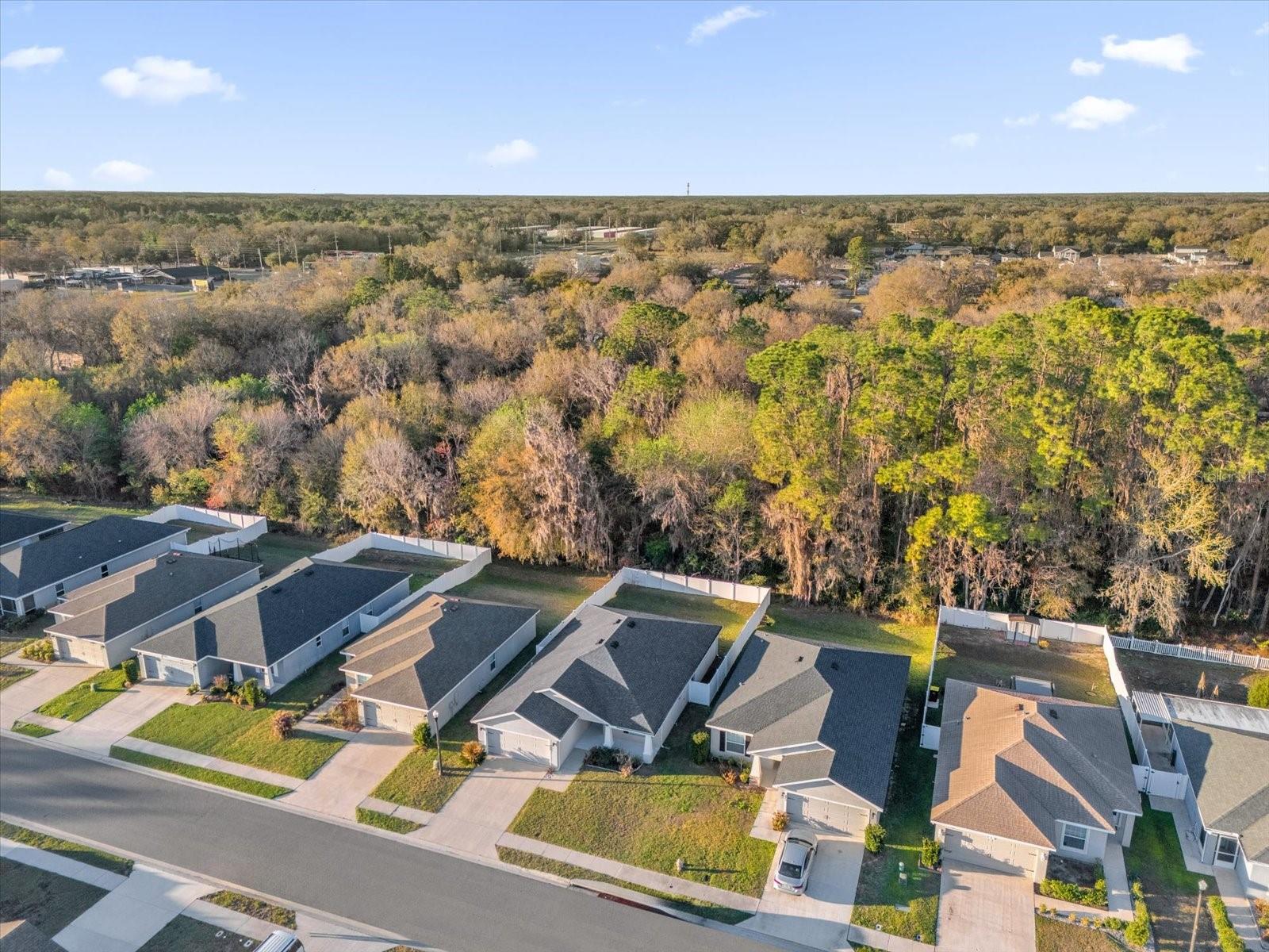 Image 28 of 30 For 955 Pearly Ridge Lane