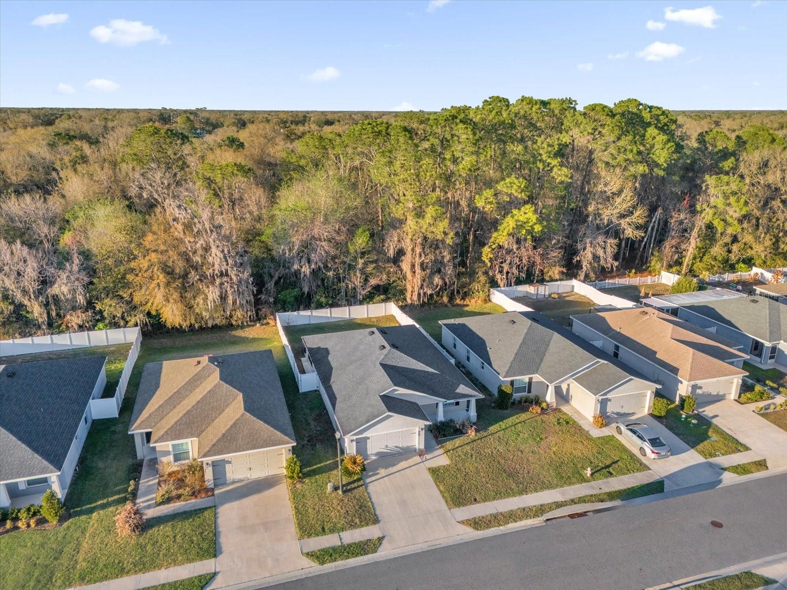 Image 3 of 30 For 955 Pearly Ridge Lane