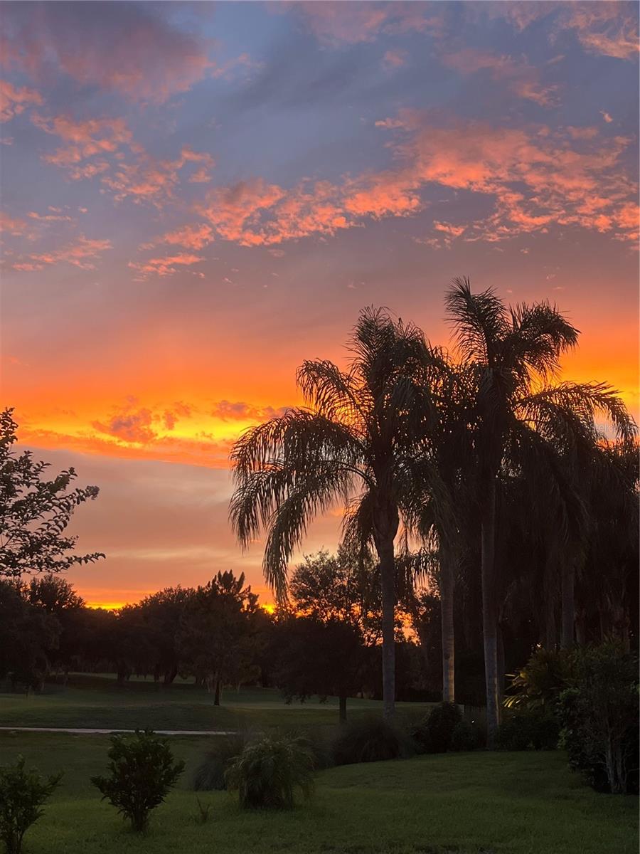 Image 40 of 59 For 25620 Grandview Pointe