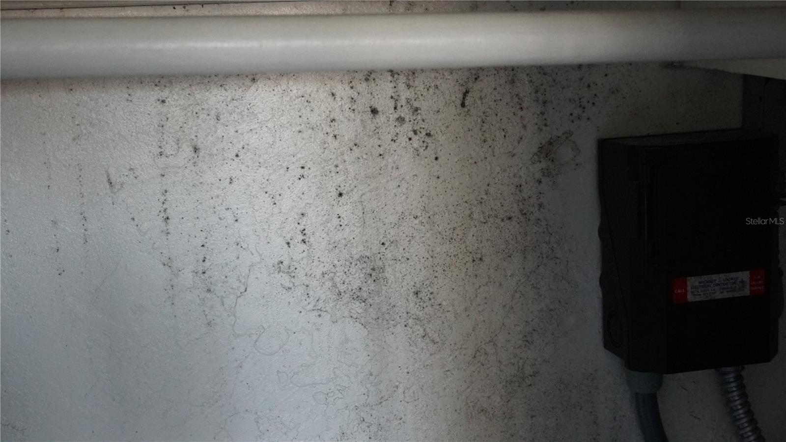 Image 13 of 23 For 2345 Starlite Lane