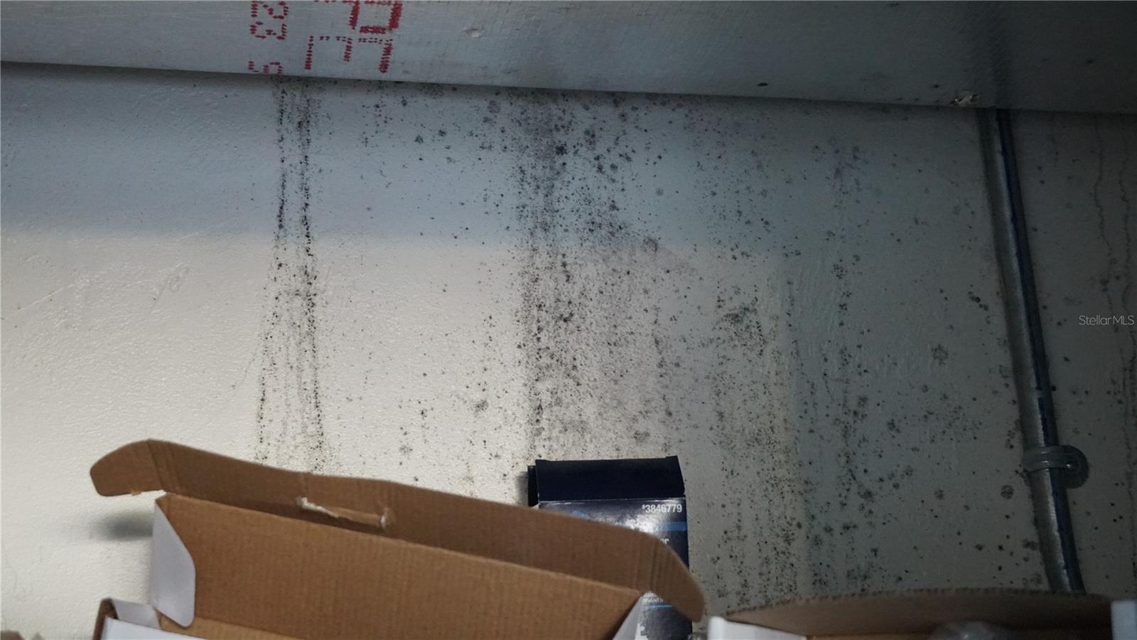 Image 14 of 23 For 2345 Starlite Lane