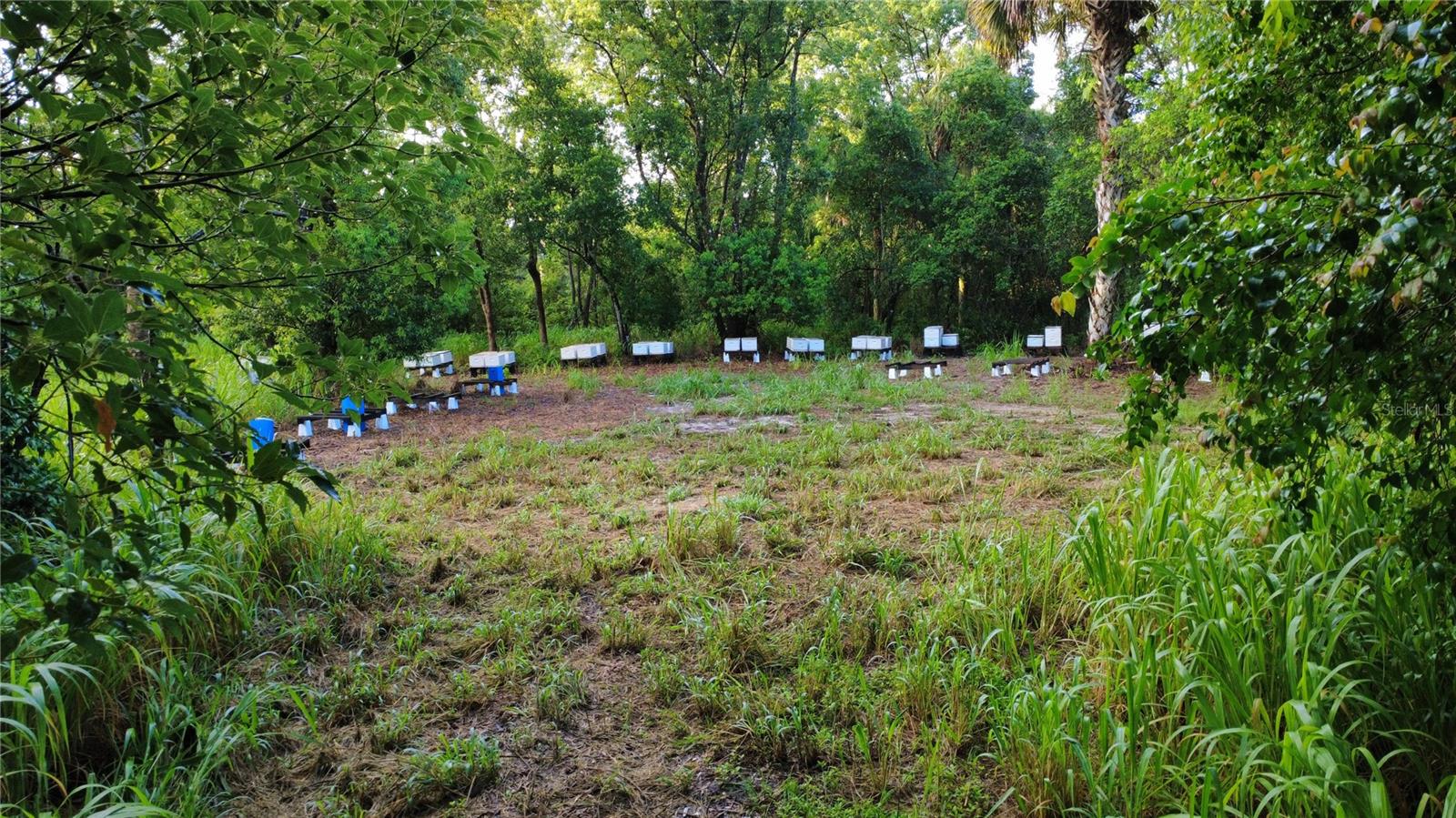 Image 10 of 12 For 327 Beaverbrook Lane