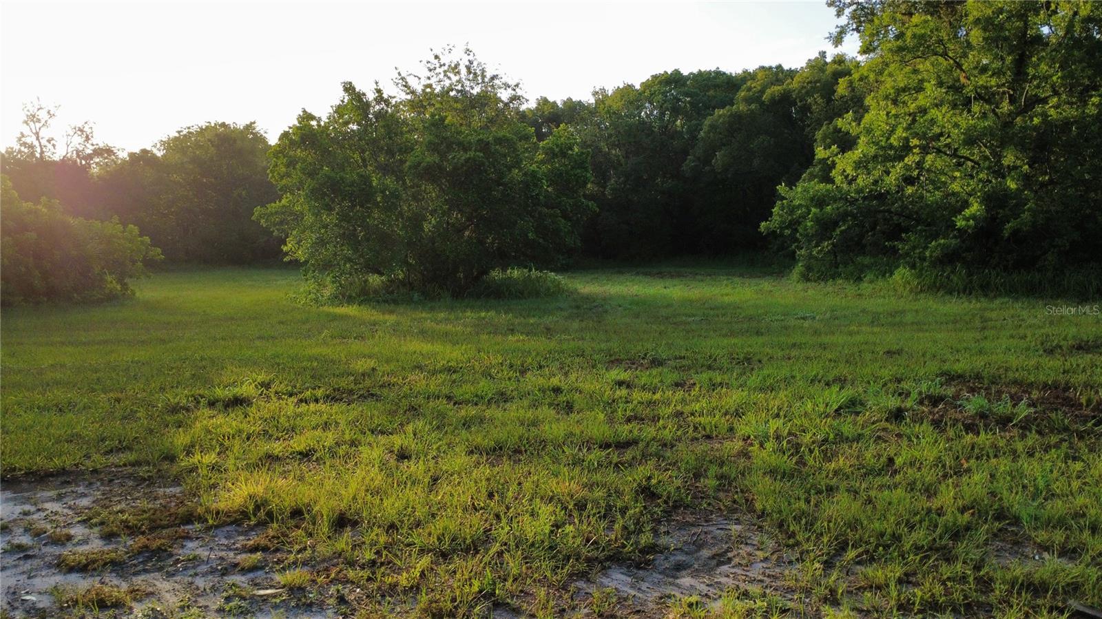 Image 4 of 12 For 327 Beaverbrook Lane