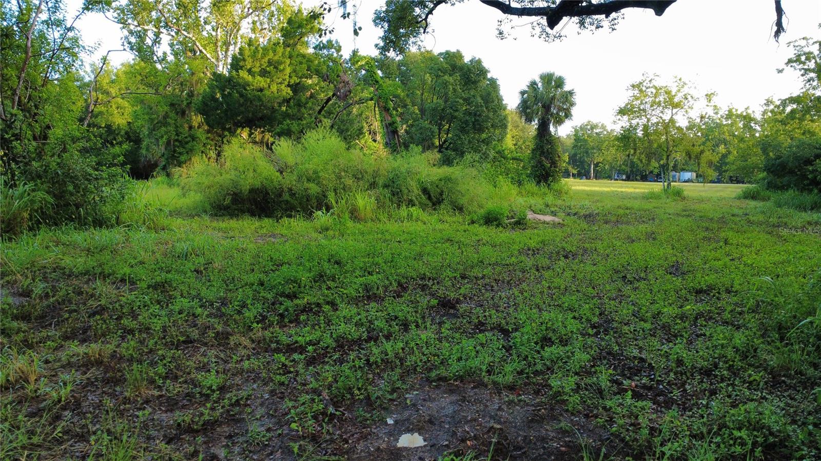 Image 5 of 12 For 327 Beaverbrook Lane