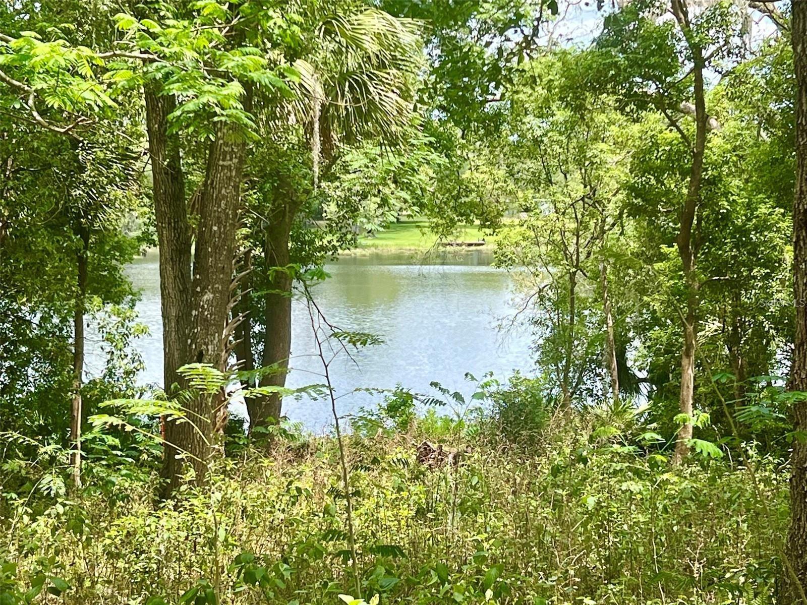 Image 12 of 21 For Vista Street