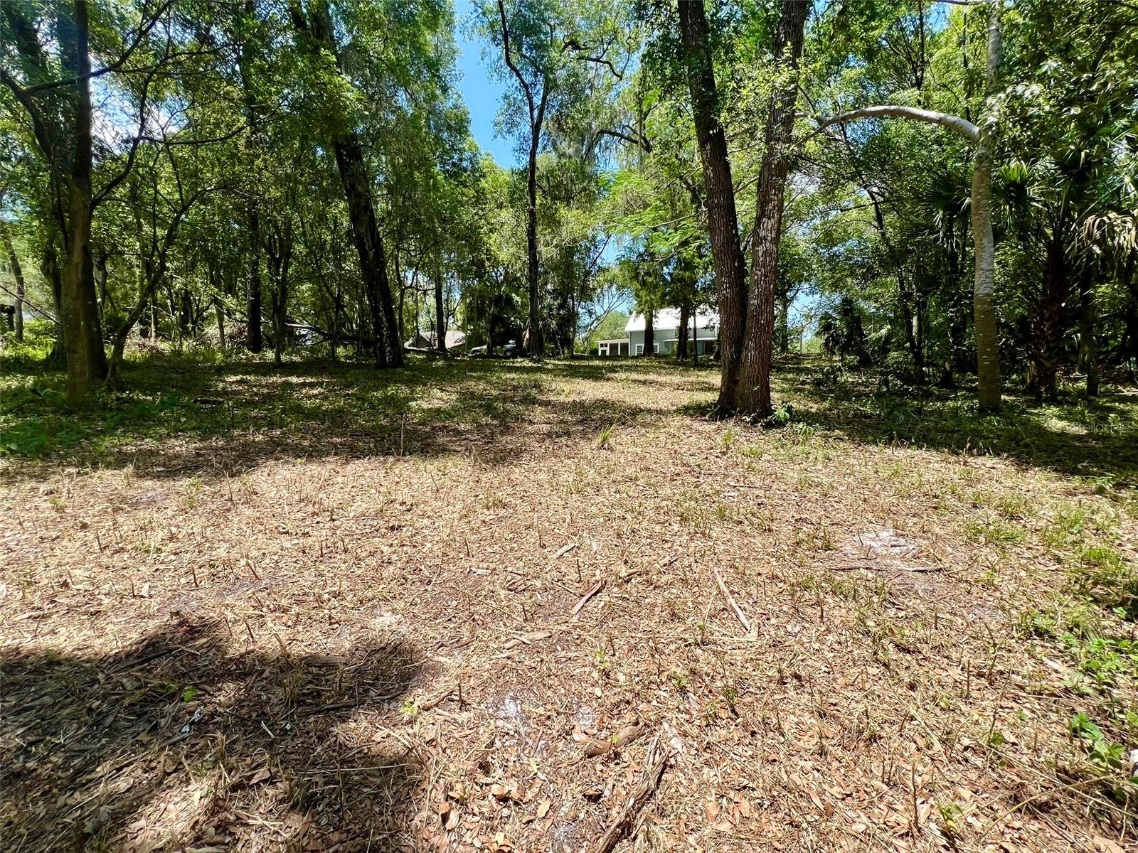 Image 13 of 21 For Vista Street