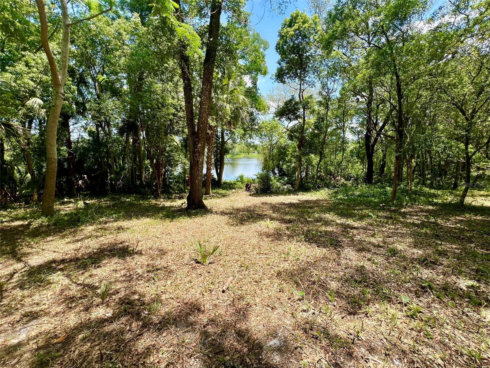 Image 14 of 21 For Vista Street