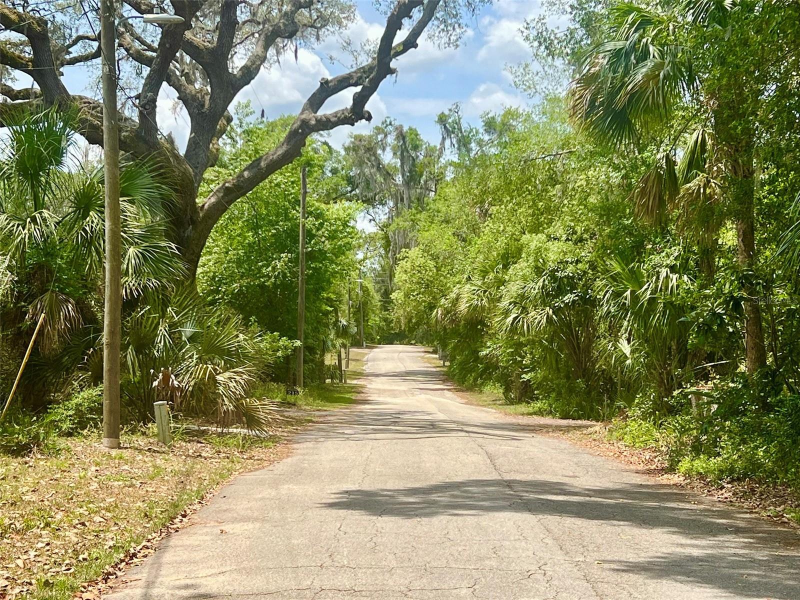 Image 17 of 21 For Vista Street