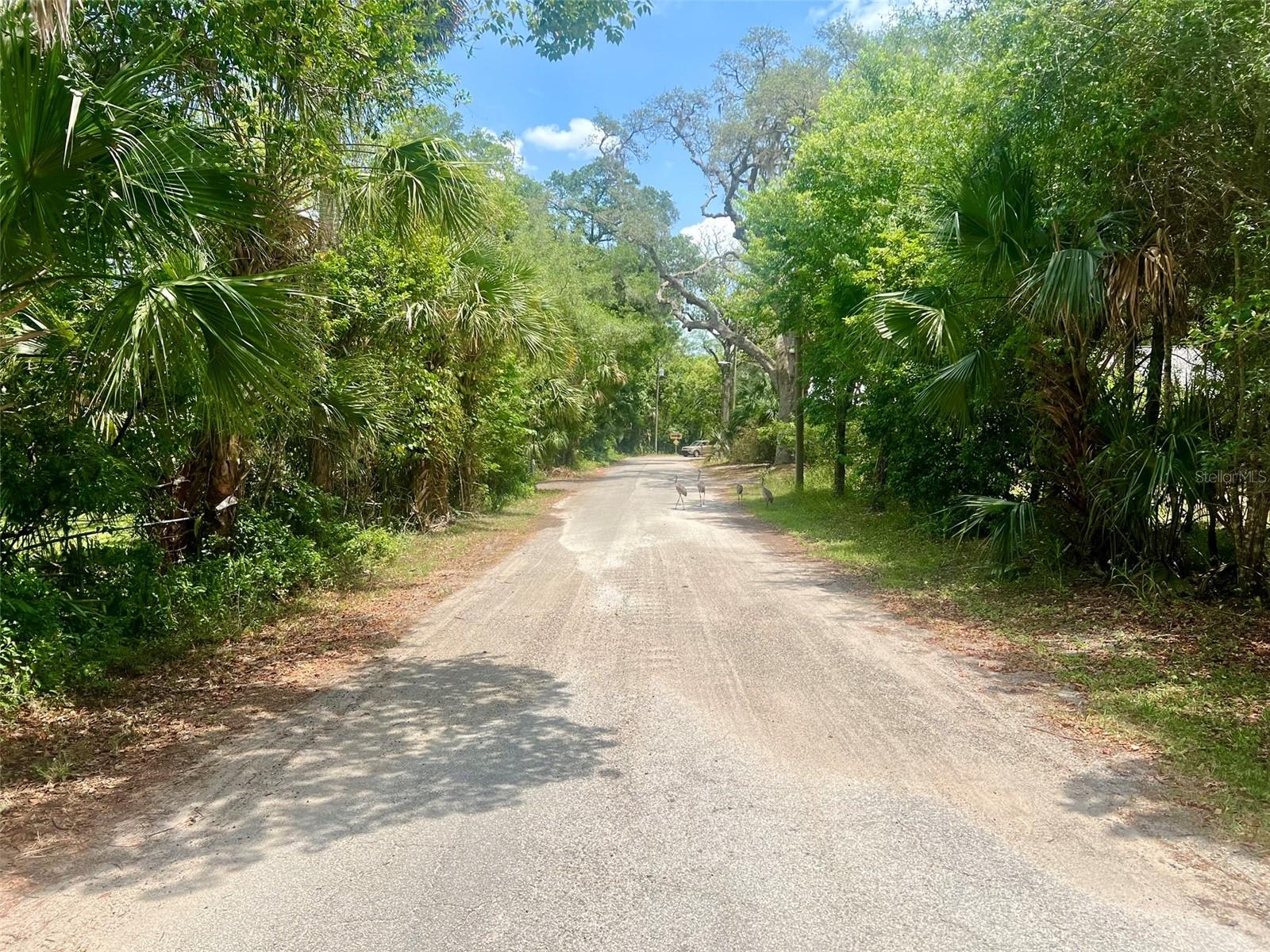 Image 19 of 21 For Vista Street