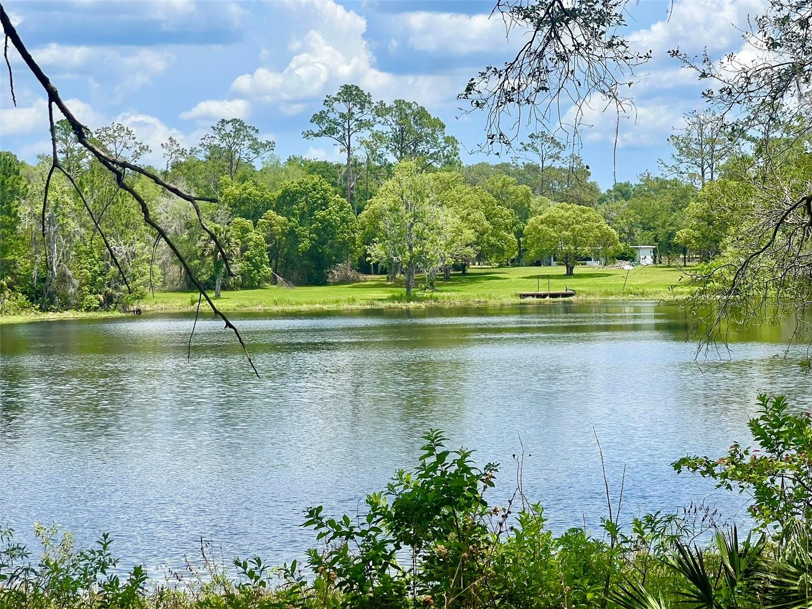 Image 2 of 21 For Vista Street