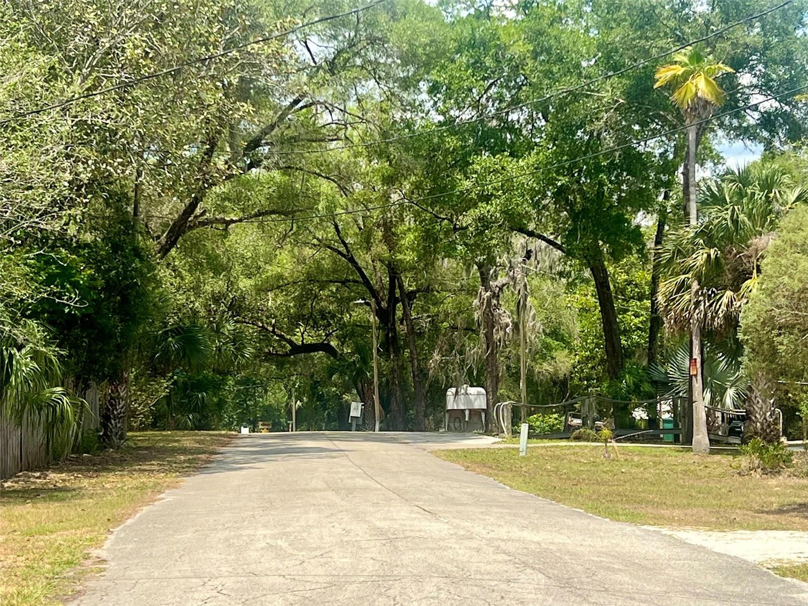 Image 20 of 21 For Vista Street