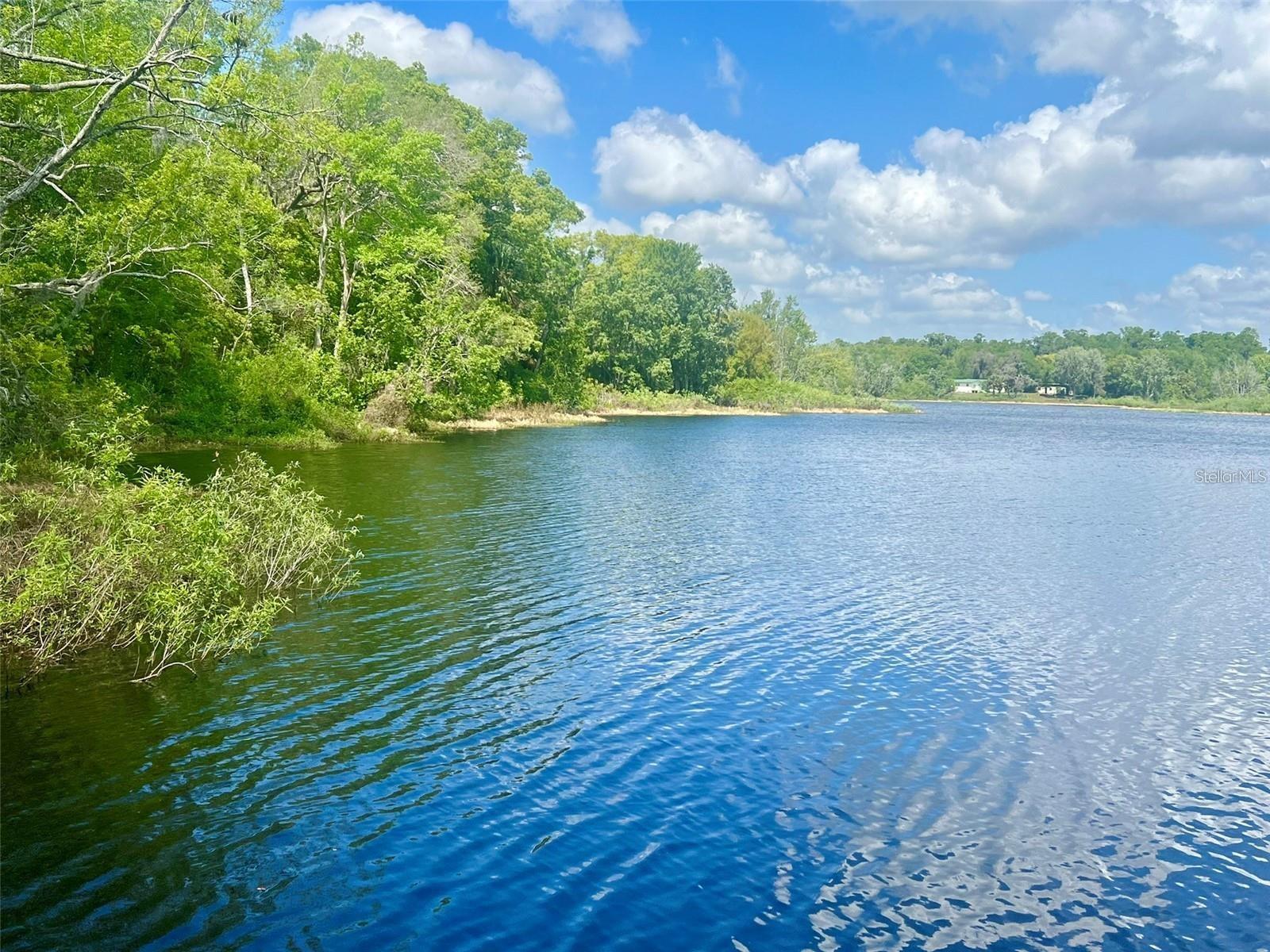 Image 4 of 21 For Vista Street