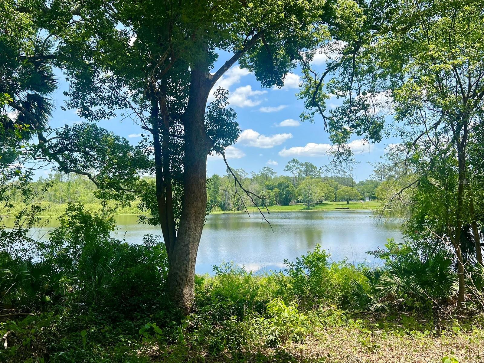 Image 5 of 21 For Vista Street