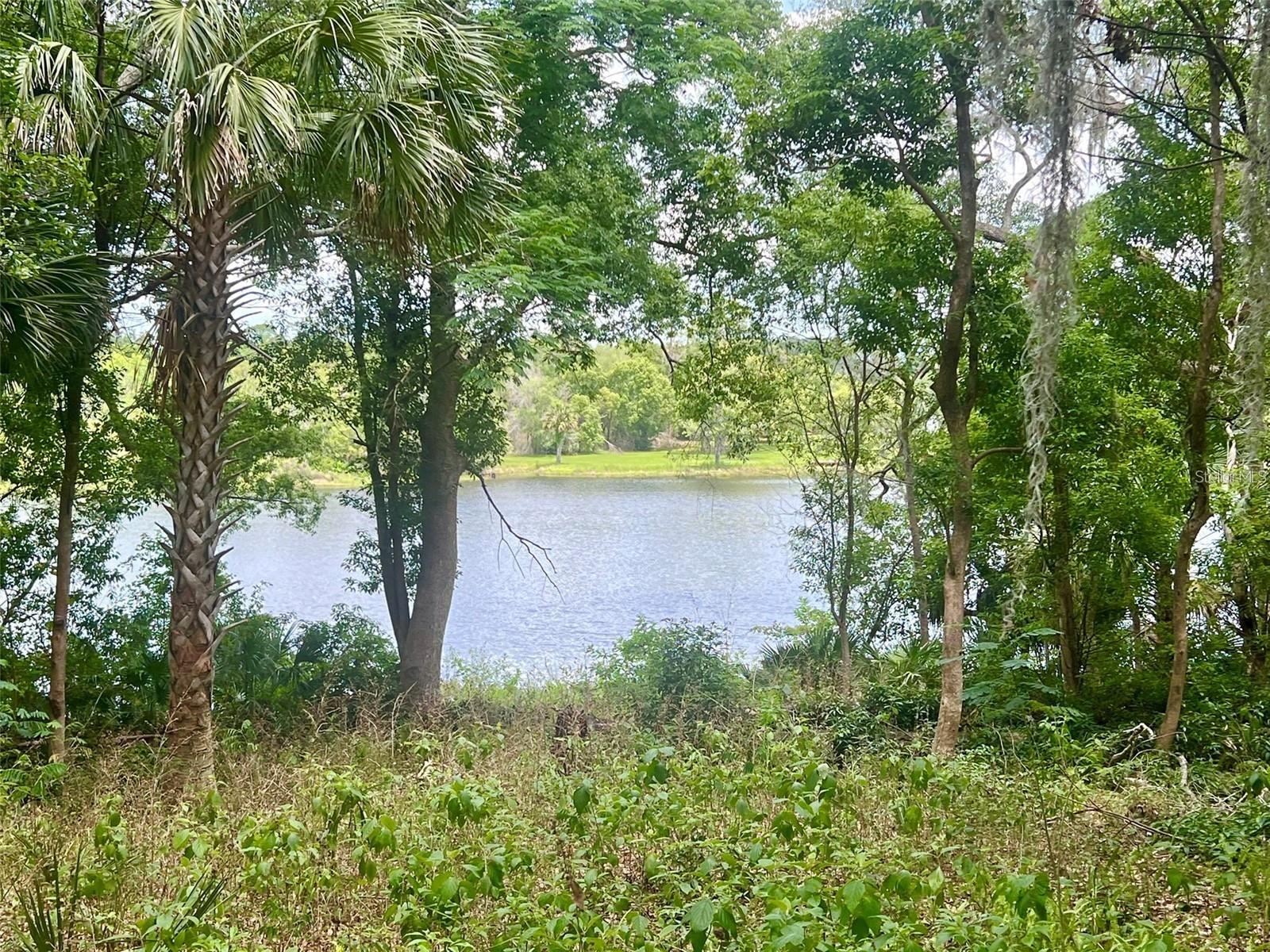 Image 8 of 21 For Vista Street