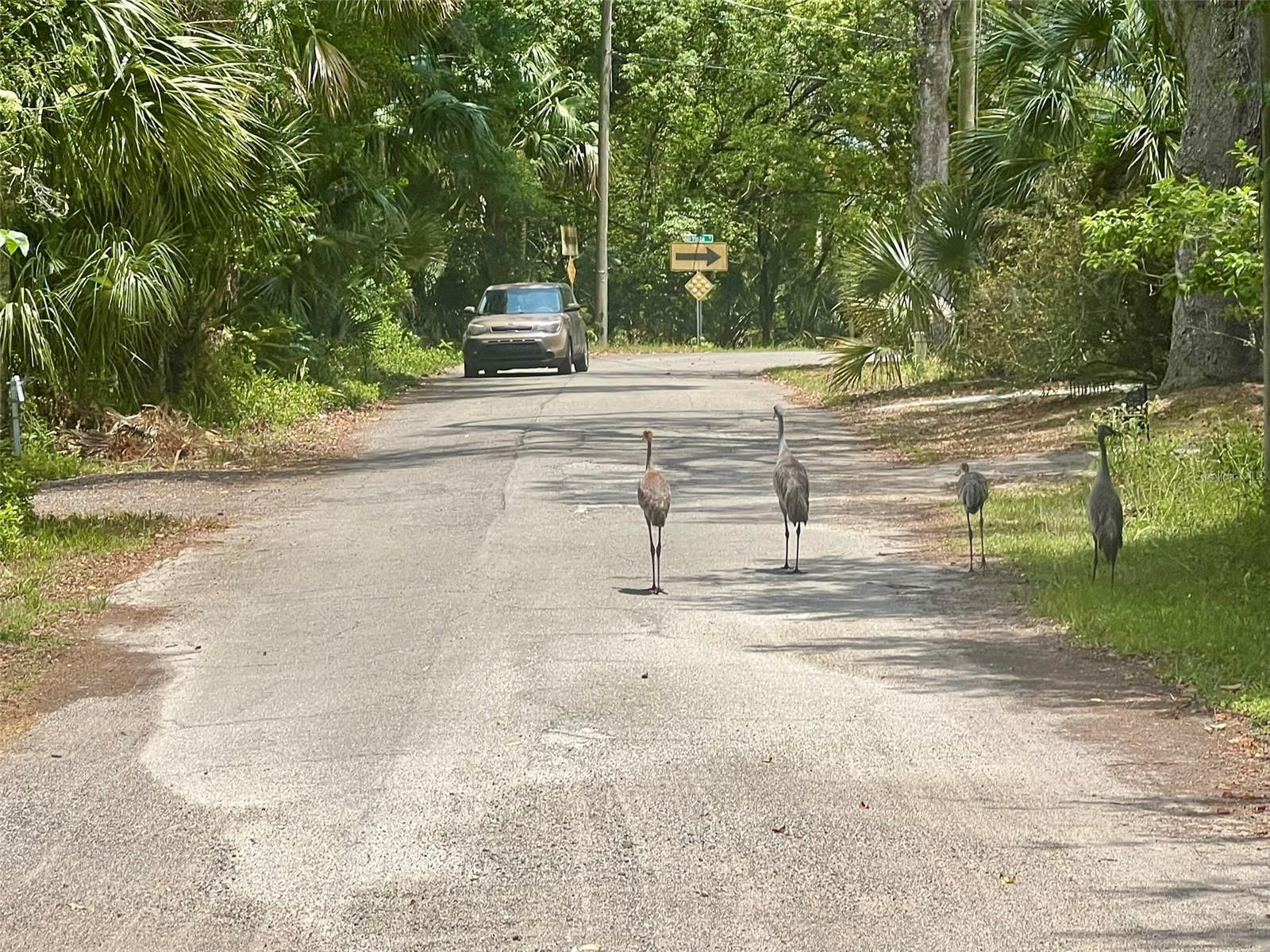 Image 9 of 21 For Vista Street