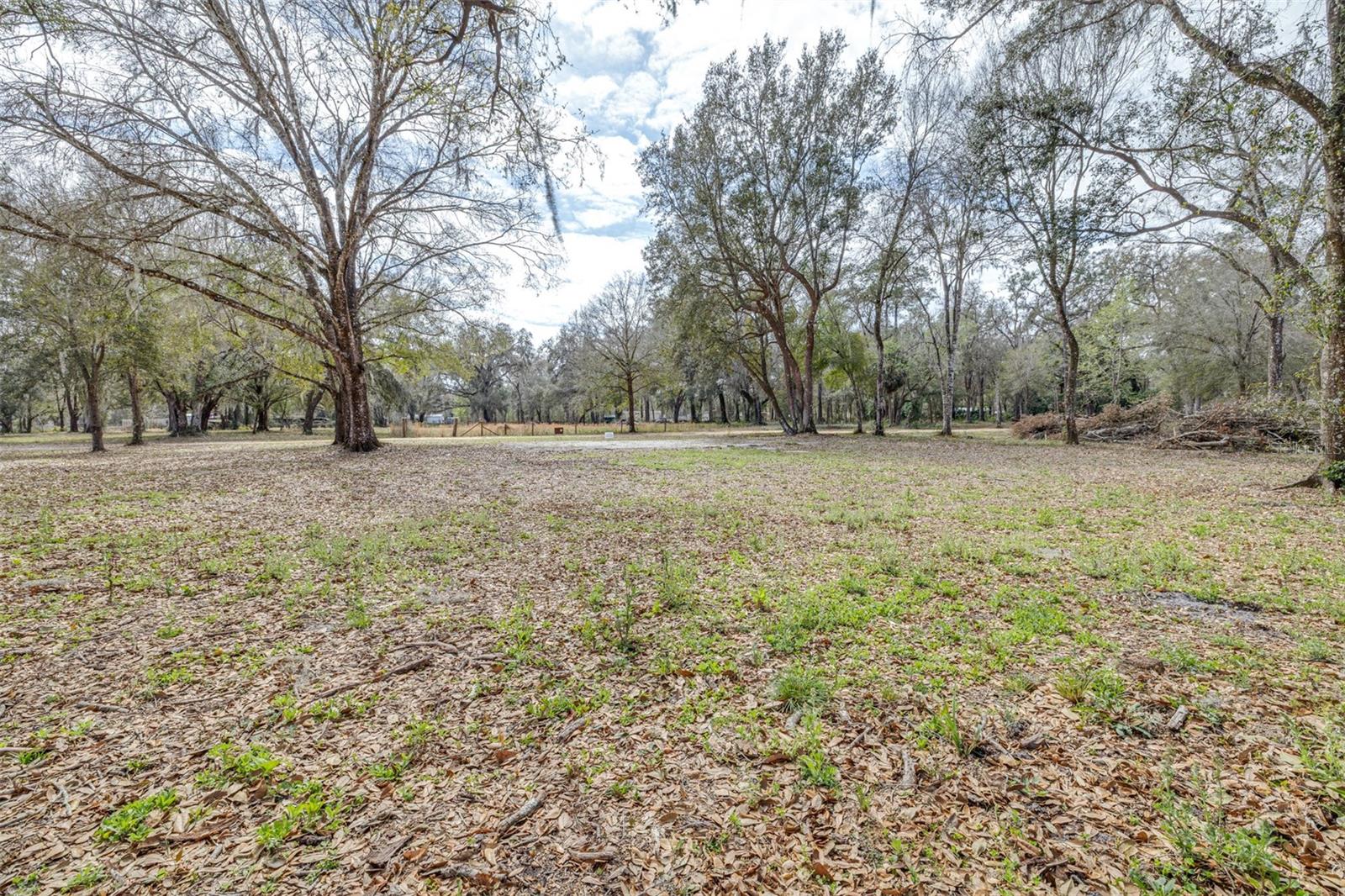 Image 2 of 8 For 124th Avenue