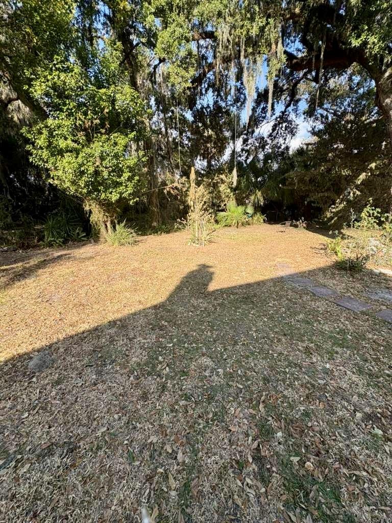 Image 9 of 11 For 1225 Carson Avenue