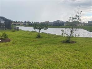 Image 8 of 44 For 32583 Tree Of Life Avenue