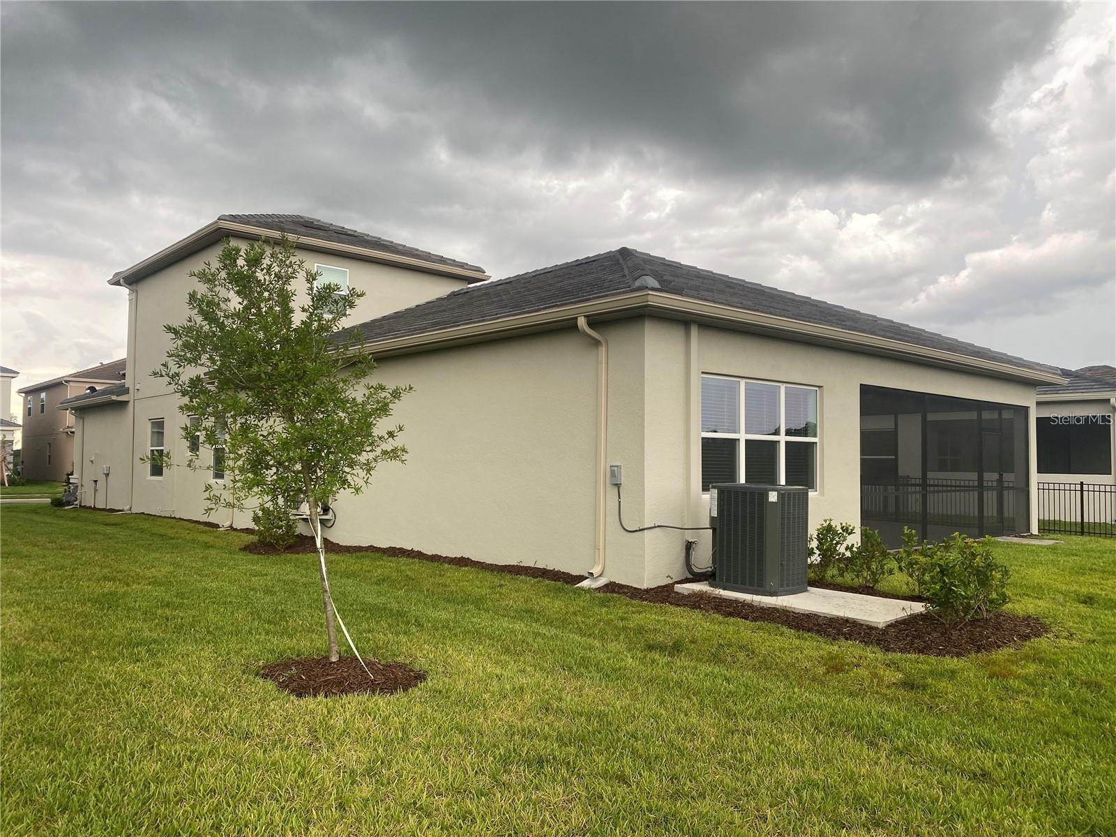 Image 9 of 44 For 32583 Tree Of Life Avenue