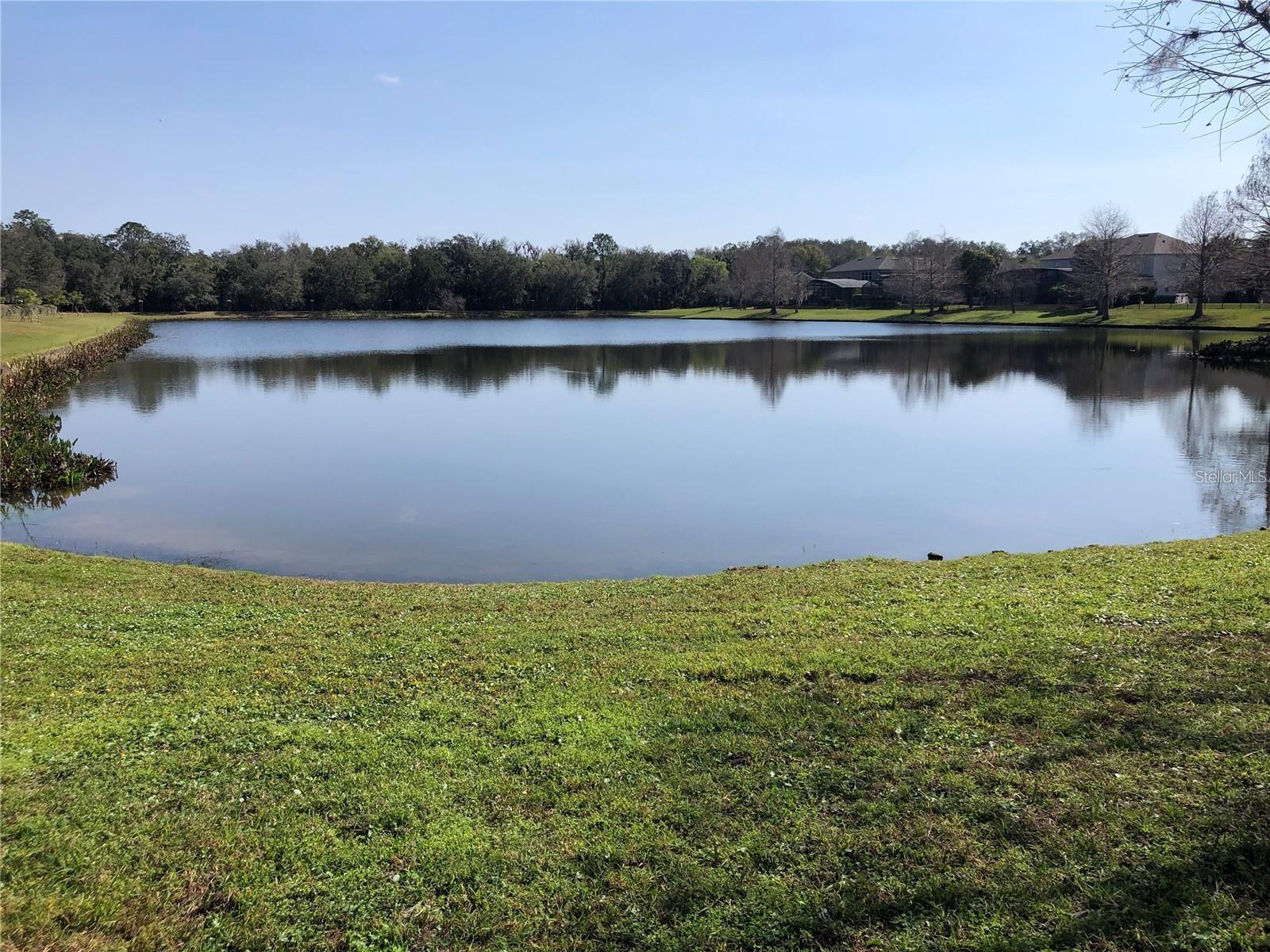 Image 44 of 46 For 161 Galileo Way