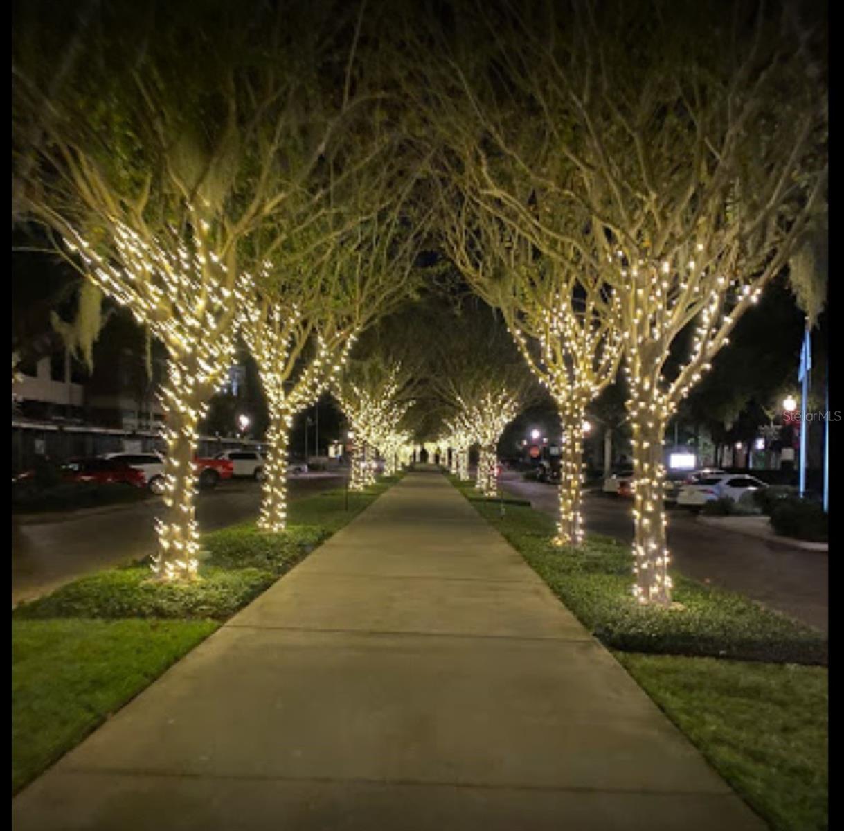 Image 44 of 49 For 1301 Eastern Pecan Place 203