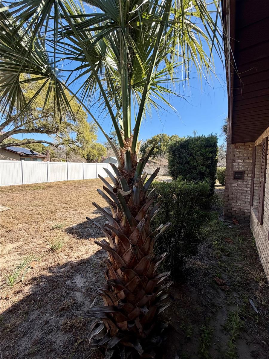 Image 48 of 68 For 9910 Canterbury Drive